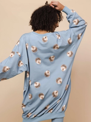 2---hedgy-blue-trui-jurk-dames-snurk-1
