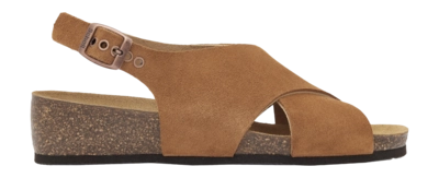 Sandaal Scholl Women Amelie Suede Brown