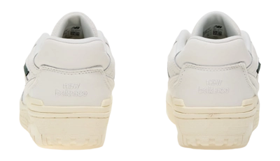 5---2631775-_no-bg