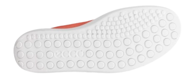 4---8cf4b280-039a-4656-8f42-955efaa0243f-_no-bg