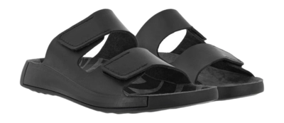 2---500904-01001-pair-_no-bg