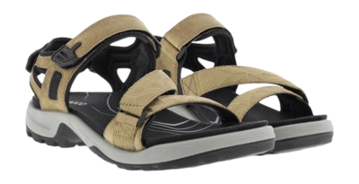 2---822194-50824-pair-_no-bg
