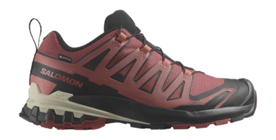 Chaussures de Trail Salomon Femme XA PRO 3D V9 GTX Cow Hide Black Faded Rose