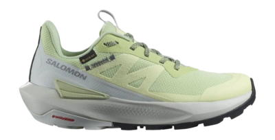 Walking shoe Salomon Women Elixir Activ GTX Celadon Green Glacier Gray '24Phantom