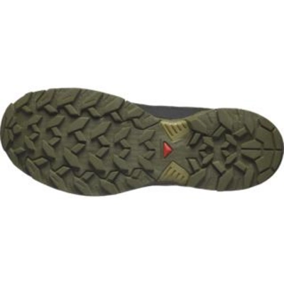 5---L47456000_7_GHO_X ULTRA 360 M_Dried Herb_Olive Night_Black.png.thumb.319.319