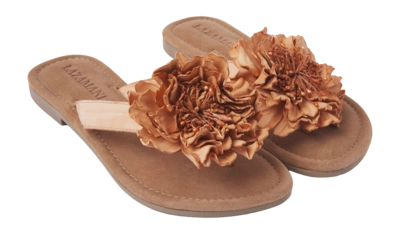 33.517-camel2_2000x2000-_no-bg