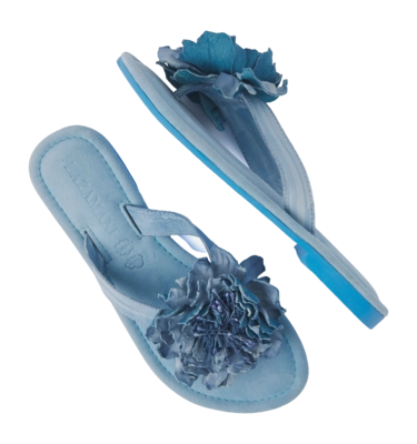 33.517-skyblue3_2000x2000-_no-bg