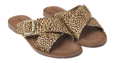 75.323-leopard2_2000x2000-_no-bg
