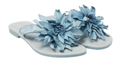 LA33734-blue2-_no-bg