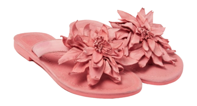 LA33734-coral2-_no-bg