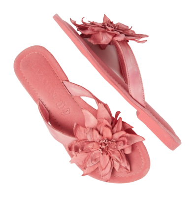 LA33734-coral3-_no-bg