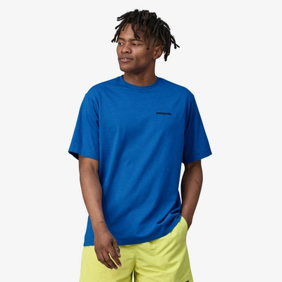 3---38504_POLV_STH1