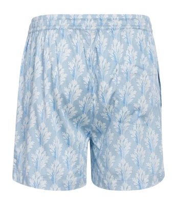 2---Jude_Tesse_Shorts_Zen_blue_101264_636_LR_PB1_P-_no-bg