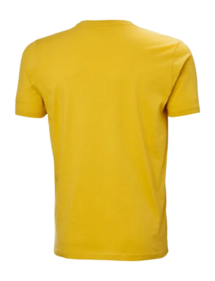 2---33979_348-5-back-_no-bg