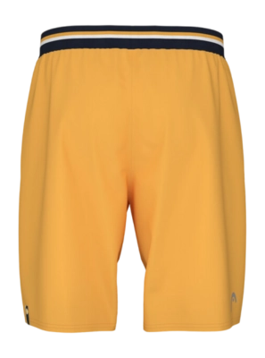 2---performance-shorts-men-bn (1)-_no-bg