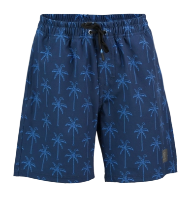 Maillot de Bain Brunotti Garçon Darminy Palmtree Blue