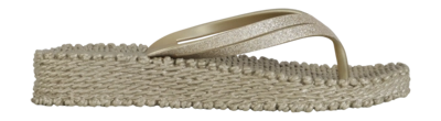 780-Platin-13-_no-bg