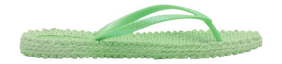CHEERFUL01_495_2-_no-bg