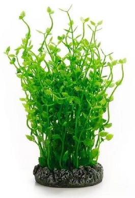 Aquariumplant Beeztees Plastic Lanigera