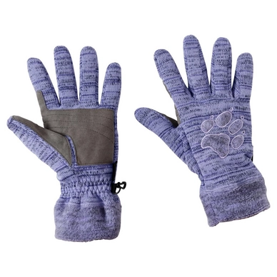 Handschuhe Jack Wolfskin Aquila Glove Lavender