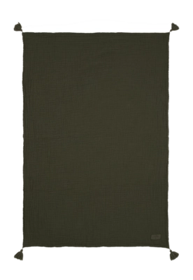2---11.01_111-_no-bg