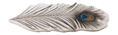 2---a47af485-2f74-4029-b82d-16228140e9dc-_no-bg