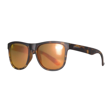 Zonnebril Brunotti Men Trichonis 1 Demi Turtoise