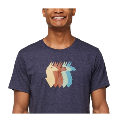 6---1200x1200png-F23MLlamaSequenceOrganicTShirtMaritime_5_1200x-_no-bg