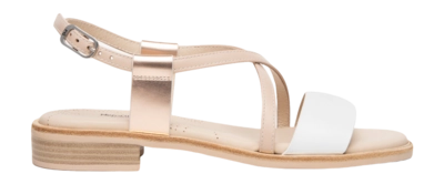 Sandales NeroGiardini Women E410462D Bianco