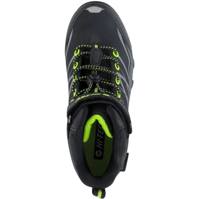 Black lime 5