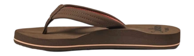 2---CI6679_LS-_no-bg