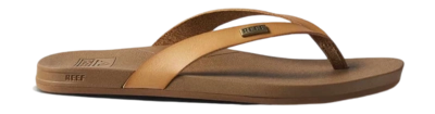 6---CJ2549_RS-_no-bg