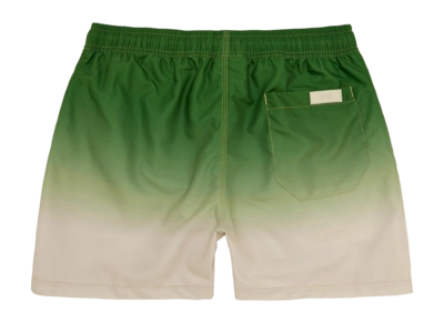 5---1026_cfd3cea2d5-beach-grade-swim-shorts-5001-302-b-original-_no-bg