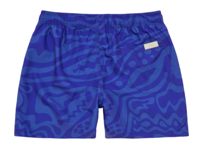 6---1040_f18bc33c87-rapture-swimshorts-5001-317-25-b-original-_no-bg