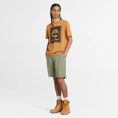 5---Stretch-Twill-Chino-Shorts-for-Men-in-Light-Green (4)