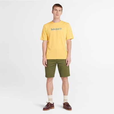 5---Stretch-Twill-Chino-Shorts-for-Men-in-Green (4)
