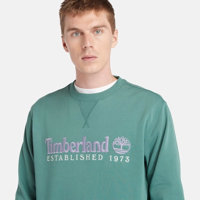 4---Est-1973-Logo-Crewneck-Sweatshirt-for-Men-in-Teal (3)