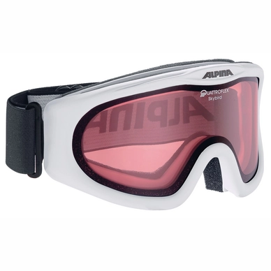 Ski Goggles Alpina Skybird Q White