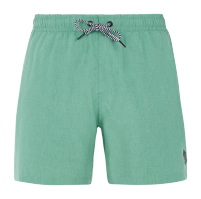Beachshort Protest Men Davey Frosty Green 24