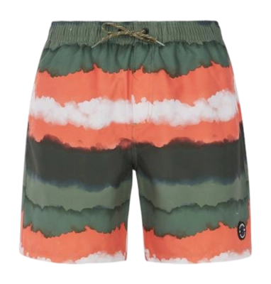 Short de Bain Protest Homme Prthamsey Artichoke Green