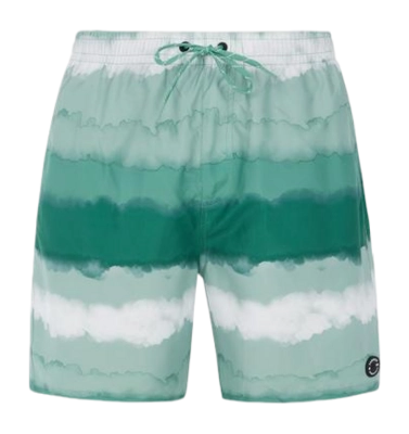 Short de Bain Protest Homme Prthamsey Frosty Green