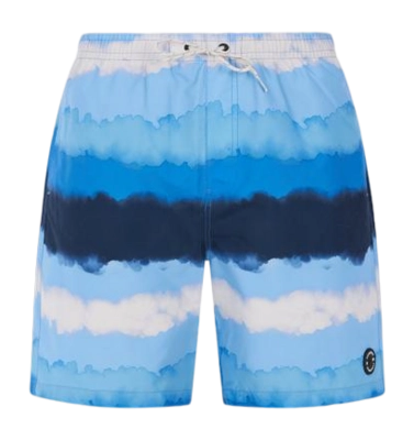 Short de Bain Protest Homme Prthamsey Gladio Blue