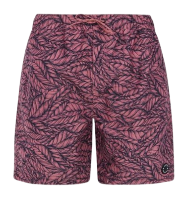Short de Bain Protest Homme Prtyukis Night Sky Navy