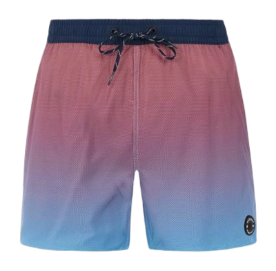 Short de Plage Protest Homme Prterin Dusk Blue