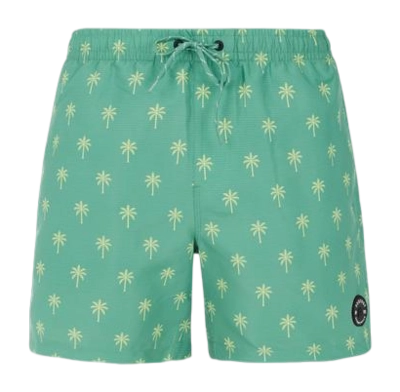 Beach Shorts Protest Men Prtalvis Frosty Green