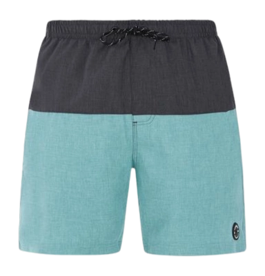 Boardshort Protest Men Prtheli Arctic Green