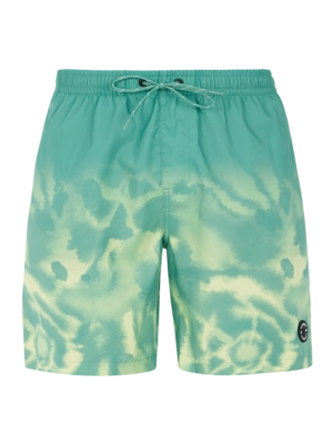 Beachshort Protest Men Prtagor Frosty Green