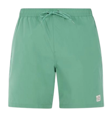Badeshorts Protest Herren Prtbaky Frosty Green