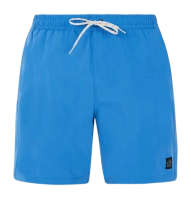 Badeshorts Protest Herren Prtbaky Gladio Blau