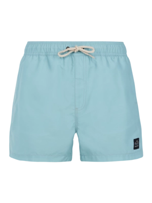 Beachshort Protest Men Prtstilo Tourmaline Blue 24